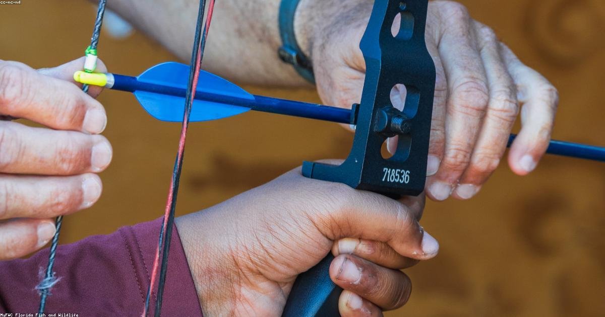 Big Data: como as empresas transformam dados em vantagem competitiva