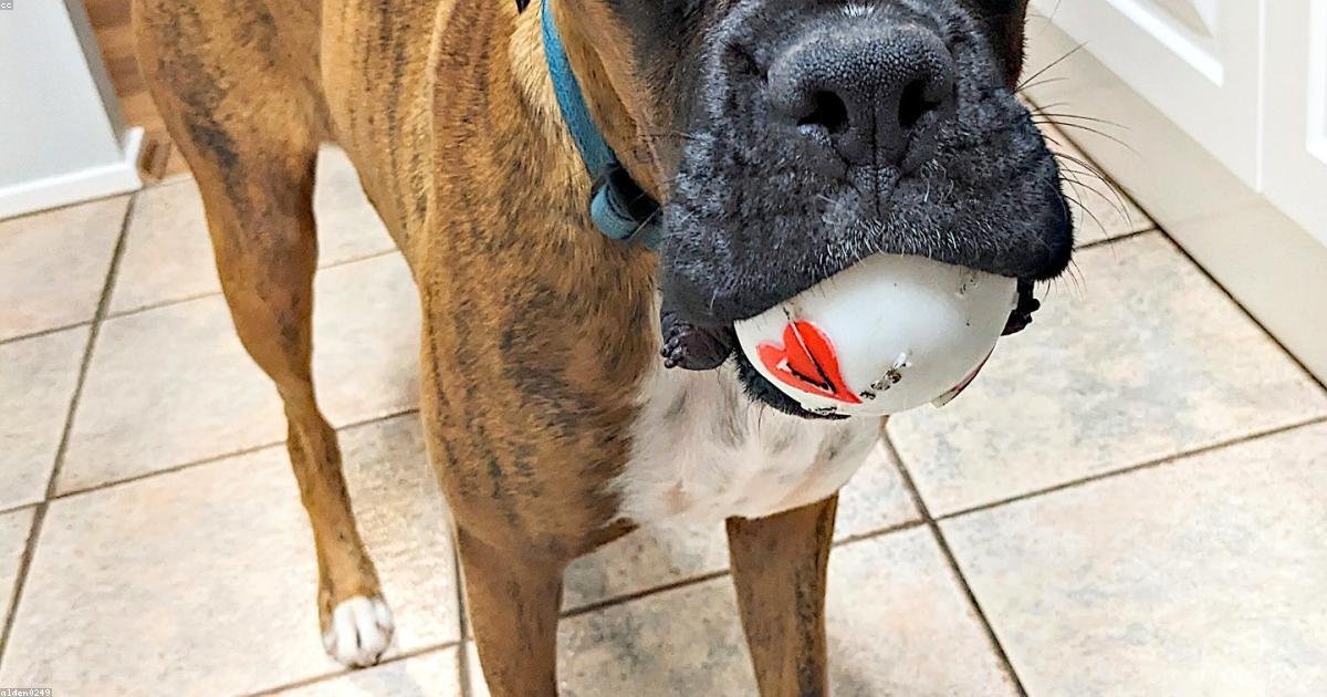 Mão segurando um smartphone com ícones flutuantes revelando funções ocultas